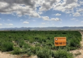Non-developable land for sale on España, Lorca, ref: TR396907 photo