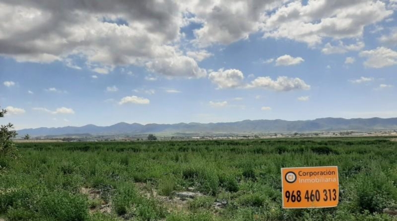 Sevilla - Lora del Río - 8698m2