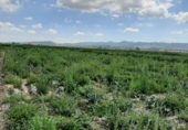 Non-developable land for sale on España, Lorca, ref: TR396907 photo