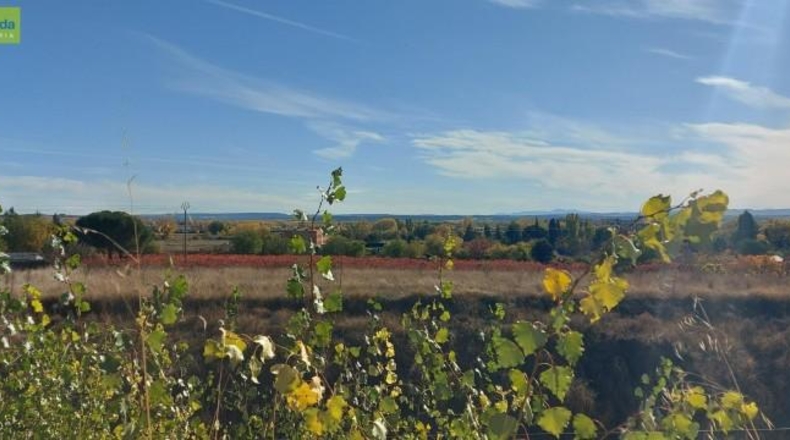 Burgos - Aranda de Duero - 193m2
