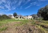 Country house with land for sale on España, Palma de Gandía, ref: TR399974 photo