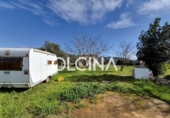 Country house with land for sale on España, Palma de Gandía, ref: TR399974 photo