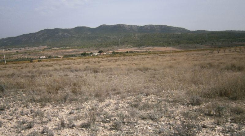Alicante - Salinas - 58390m2
