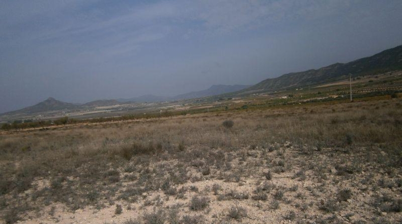 Alicante - Salinas - 58390m2