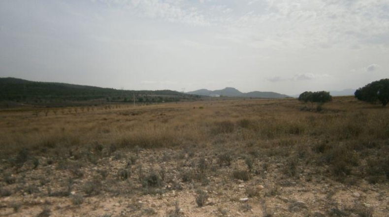 Alicante - Salinas - 58390m2