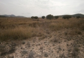 Parcel·la urbanitzable en venda a la España, Salinas, ref.: TR396931 foto