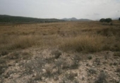 Parcel·la urbanitzable en venda a la España, Salinas, ref.: TR396931 foto