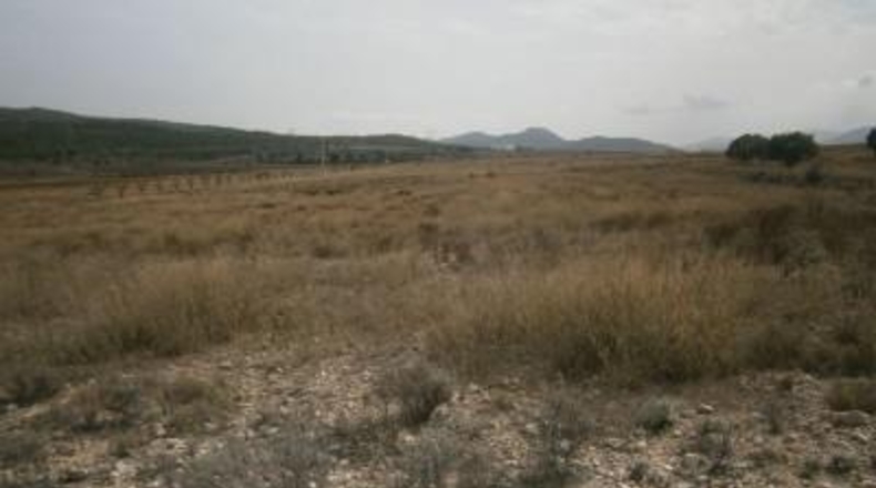 Alicante - Salinas - 58390m2