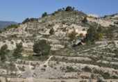 Non-developable land for sale on España, Tibi, ref: TR397807 photo