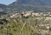 Non-developable land for sale on España, Tibi, ref: TR397807 photo