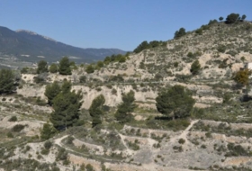 Tibi 33146&nbsp;m² 