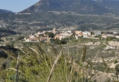 Non-developable land for sale on España, Tibi, ref: TR397807 photo