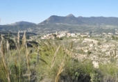 Non-developable land for sale on España, Tibi, ref: TR397807 photo