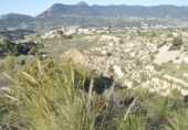 Non-developable land for sale on España, Tibi, ref: TR397807 photo