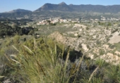 Non-developable land for sale on España, Tibi, ref: TR397807 photo
