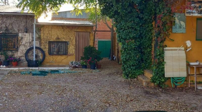 Ciudad Real - Torrenueva - 4800m2