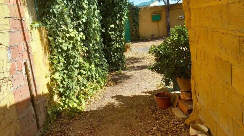 Ciudad Real - Torrenueva - 4800m2