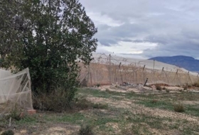 Monforte del Cid 16000&nbsp;m²
