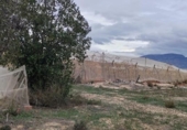 Casa amb terreny en venda a la España, Montfort, ref.: TR399419 foto