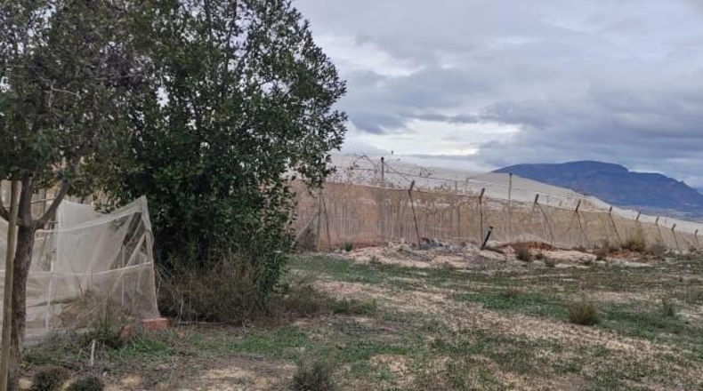 Alicante - Monforte del Cid - 16000m2