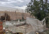 Casa amb terreny en venda a la España, Montfort, ref.: TR399419 foto
