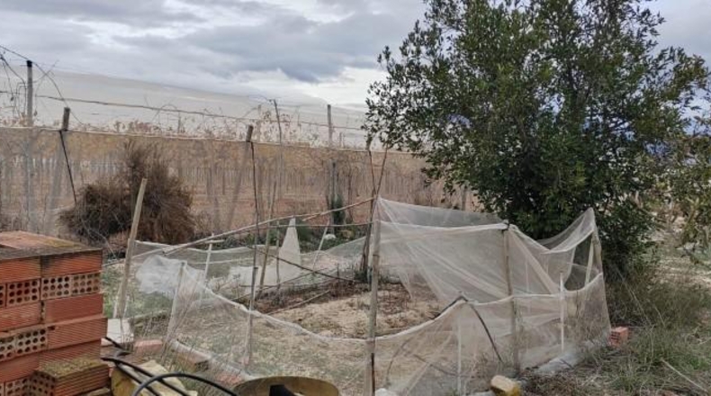 Alicante - Monforte del Cid - 16000m2