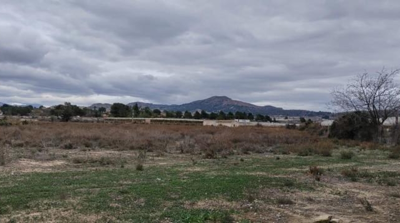 Alicante - Monforte del Cid - 16000m2