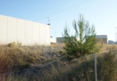 Parcel·la urbanitzable en venda a la España, Elx, ref.: TR395143 foto