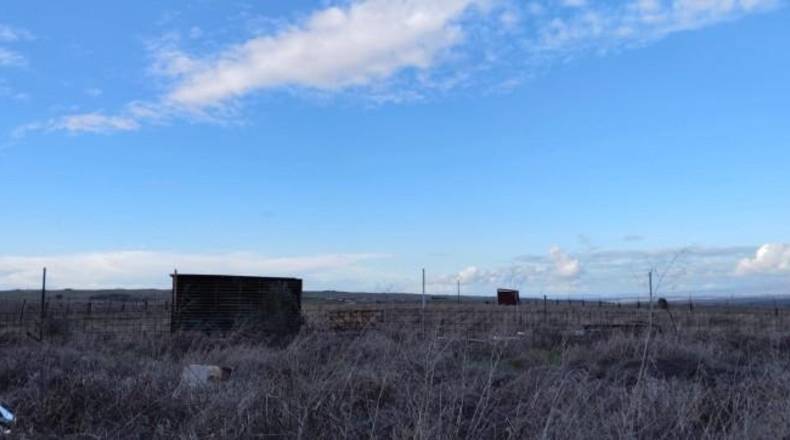 Caceres - Casar de Cáceres - 9890m2