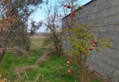 Country house with land for sale on España, Casar de Cáceres, ref: TR399053 photo