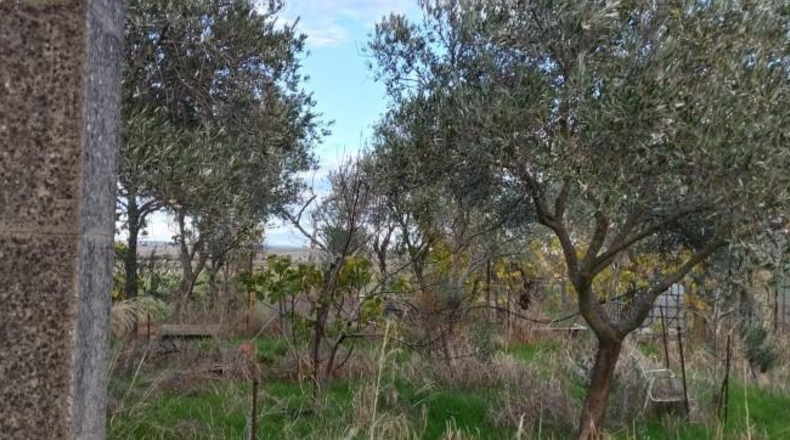 Caceres - Casar de Cáceres - 9890m2