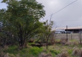 Country house with land for sale on España, Casar de Cáceres, ref: TR399053 photo