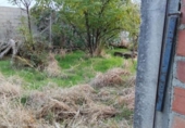 Country house with land for sale on España, Casar de Cáceres, ref: TR399053 photo