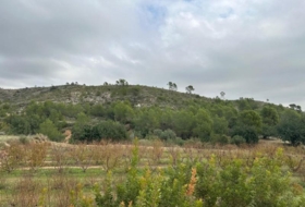 Tous 185&nbsp;m²