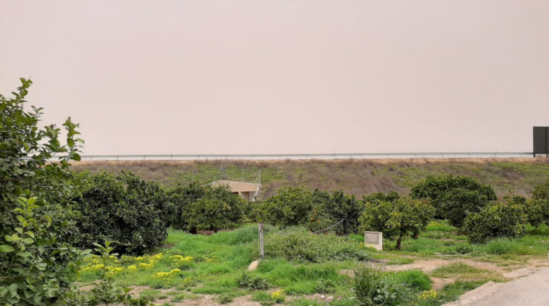 Valencia - Beniatjar - 1197m2