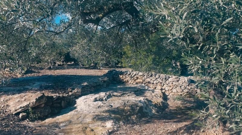 Barcelona - la Roca del Vallès - 14m2
