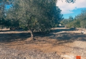 Terreno no urbanizable en venta en la España, la Ràpita, ref: TR396904 foto