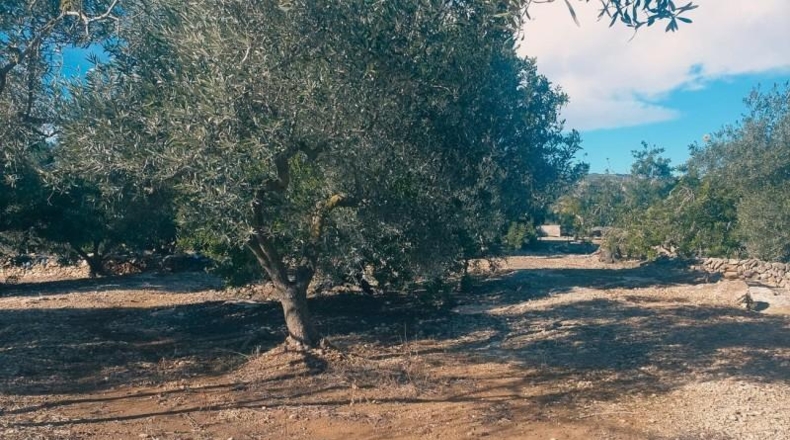Barcelona - la Roca del Vallès - 14m2