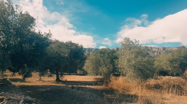 Barcelona - la Roca del Vallès - 14m2