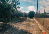 Terreno no urbanizable en venta en la España, la Ràpita, ref: TR396904 foto