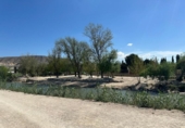Non-developable land for sale on España, Cieza, ref: TR396772 photo