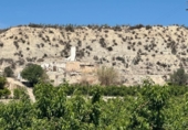 Non-developable land for sale on España, Cieza, ref: TR396772 photo