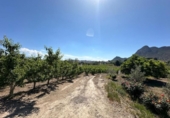 Non-developable land for sale on España, Cieza, ref: TR396772 photo