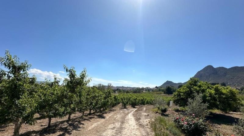 Cantabria - Collado de Cieza - 10935m2