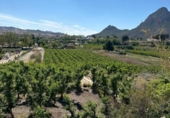 Non-developable land for sale on España, Cieza, ref: TR396772 photo