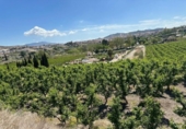 Non-developable land for sale on España, Cieza, ref: TR396772 photo