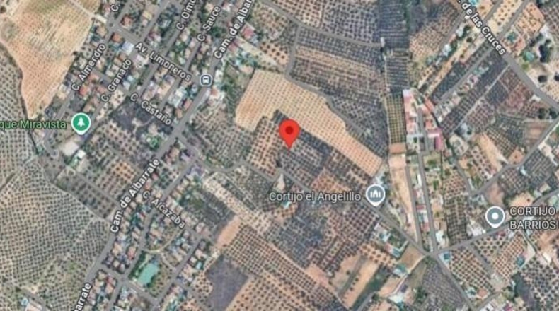 Granada - Albolote - 8700m2