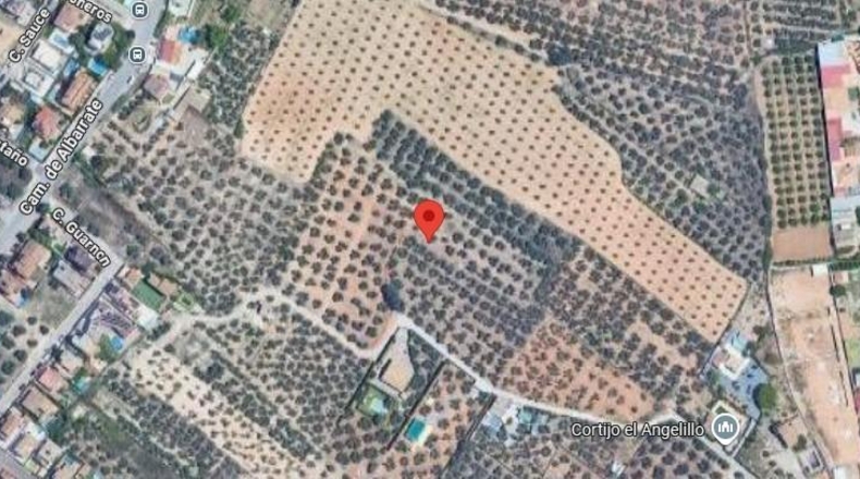 Granada - Albolote - 8700m2
