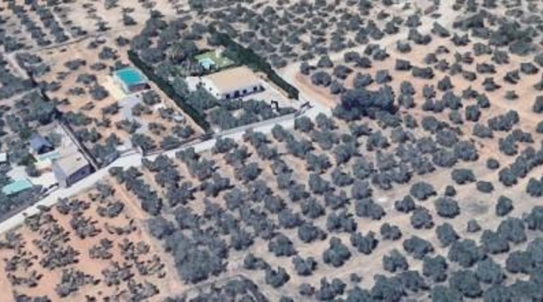 Granada - Albolote - 8700m2