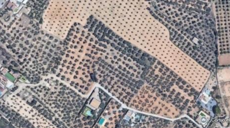 Granada - Albolote - 8700m2